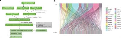 Construction of m6A-Related lncRNA Prognostic Signature Model and Immunomodulatory Effect in Glioblastoma Multiforme